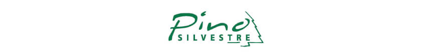 Pino Silvestre Logo