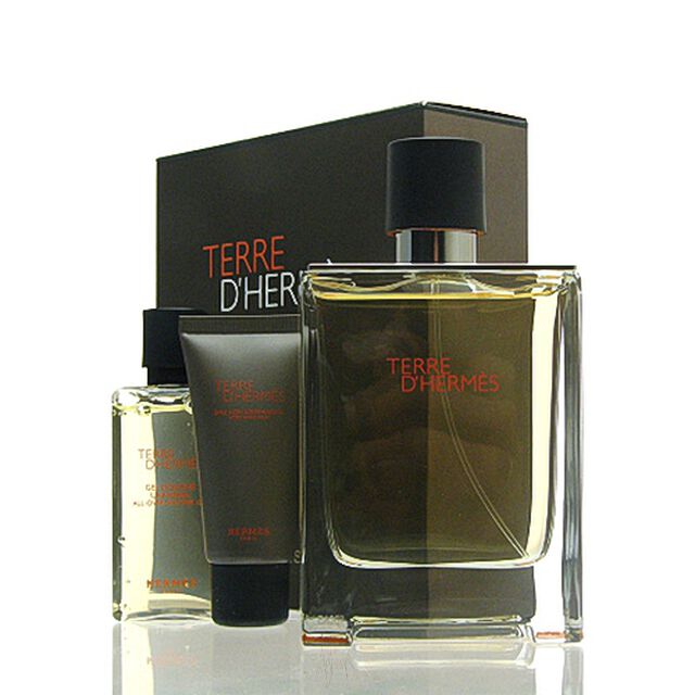 Herms Terre DHerms SET - EDT 100 ml + DG 40 ml + A.S. 15 ml