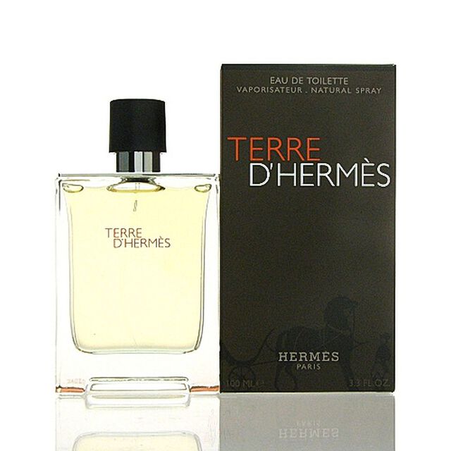 Herms Terre DHerms Eau de Toilette Spray 100 ml Limited Edition