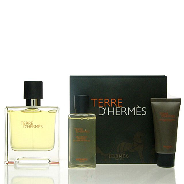 Herms Terre DHerms SET - Pure Parfum 75 ml + DG 40 ml + AS 15 ml